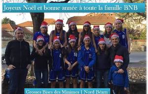 JOYEUSES FETES