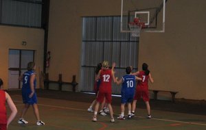 SF2_4_13_03_11.jpg