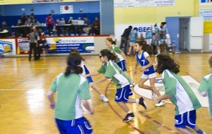 IMG_9679.jpg