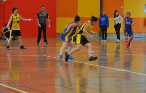 550f34ce494e9_DSC0081.JPG
