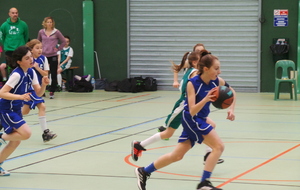 5727229d0ce7e_Poussines1photo3.JPG