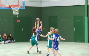 572722f92ede3_Poussines1photo5.JPG