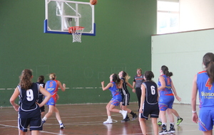 59ca734d17bc2_IMG8790.JPG